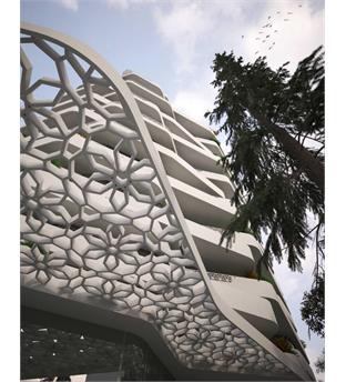 پروژه آرتیمان-ماکویی پور جنوبی